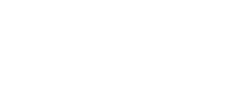 NEW GENE, inspired from Phoenix